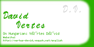 david vertes business card